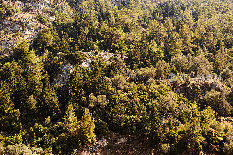 Faralya Lycian Way, Fethiye，土耳其